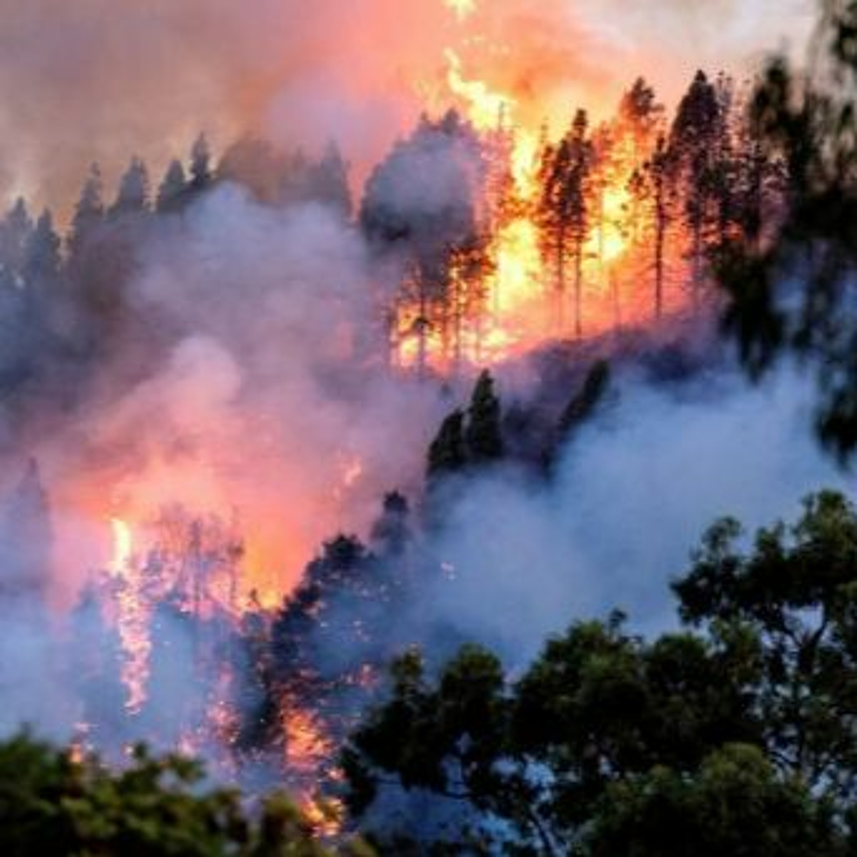 Fires In Patagonia, Heat & Children’s Health, “Don’t Look Up” & the Absurdity of Climate Inaction episode artwork