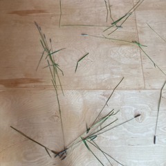 grass portrait #1