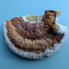 Das Island - Stop een klok