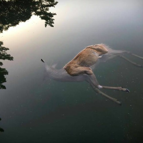 To Drift Aimlessly Must Be a Delight