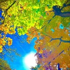 Dubamine Surfer - Fall Dub