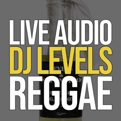 REGGAE WARM UP | LIVE @ RIDDIM, LILLE (FRANCE) | NO TALKING / HOST | @LEVSELECTS