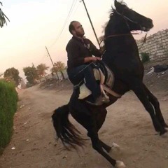 اجمل مزمار _n.mp4.m4a