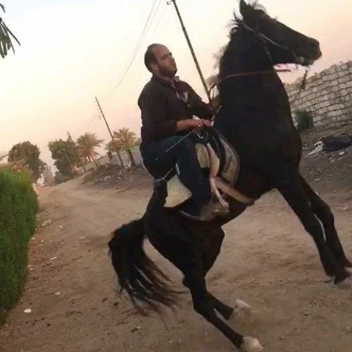 اجمل مزمار _n.mp4.m4a