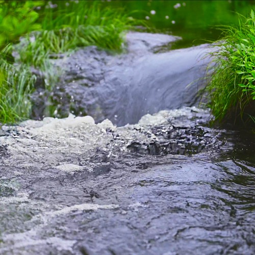Relaxing Stream For Sleep, Studying Or Stress Relief (75 Minutes)