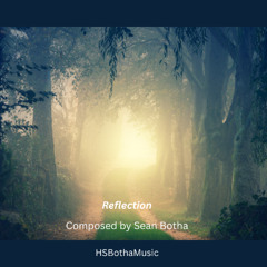 Reflection