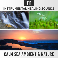 Chakra & Yin Yoga Music (Mental Peace)