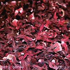 beri gordy | بري غوردي