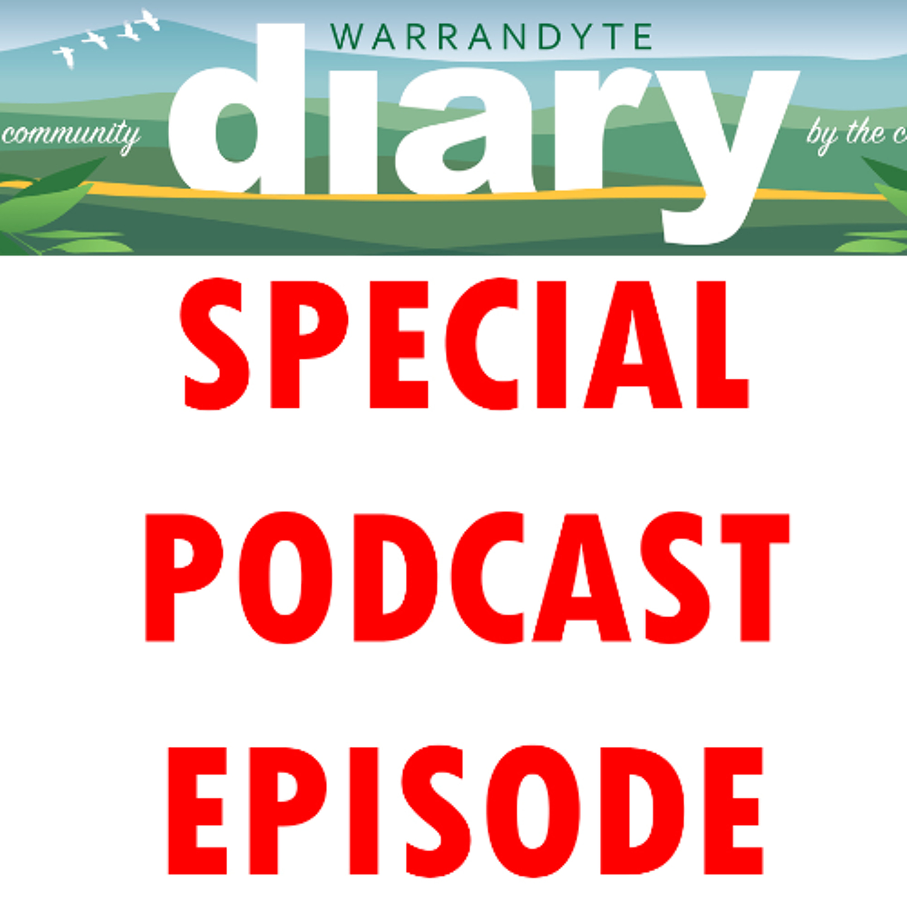 Reading of the Warrandyte Diary articles