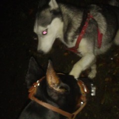 Кишлак - Шрамы.mp3