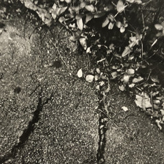 5 Dollars - Christine and the Queens (cover)