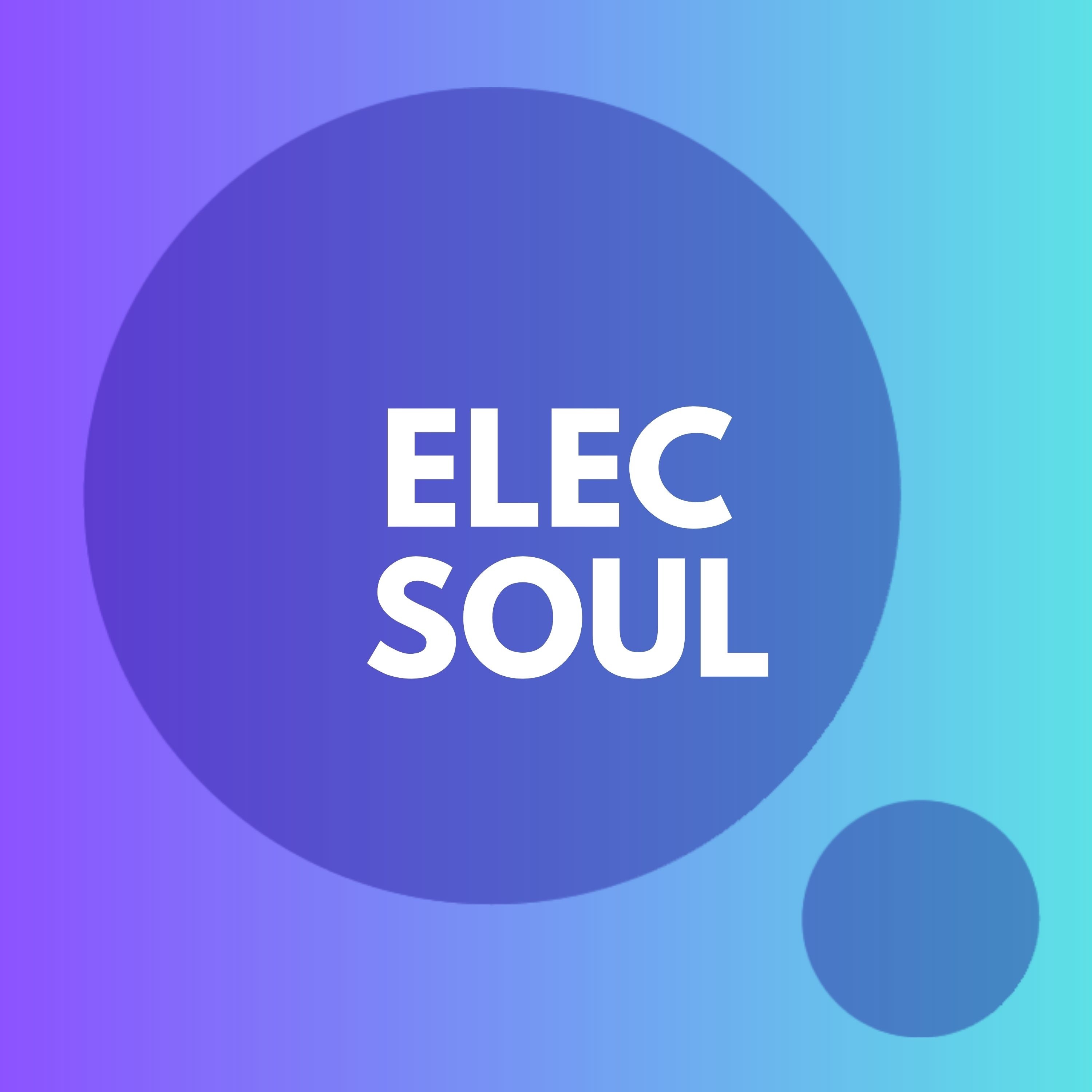 ElecSoul