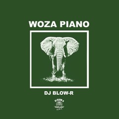 Dj Blow-R - WOZA PIANO (Amapiano mix)