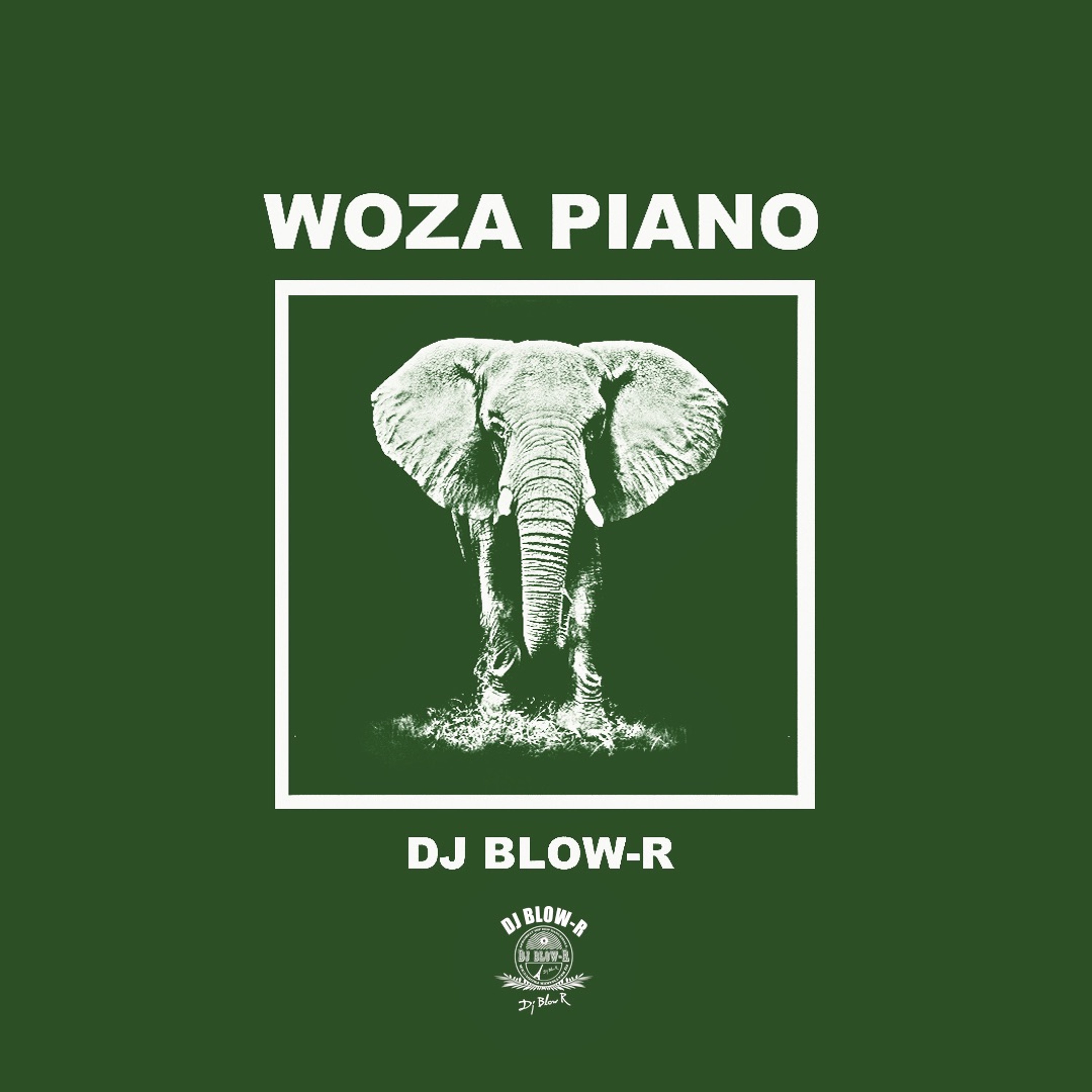 Dj Blow-R - WOZA PIANO (Amapiano mix)