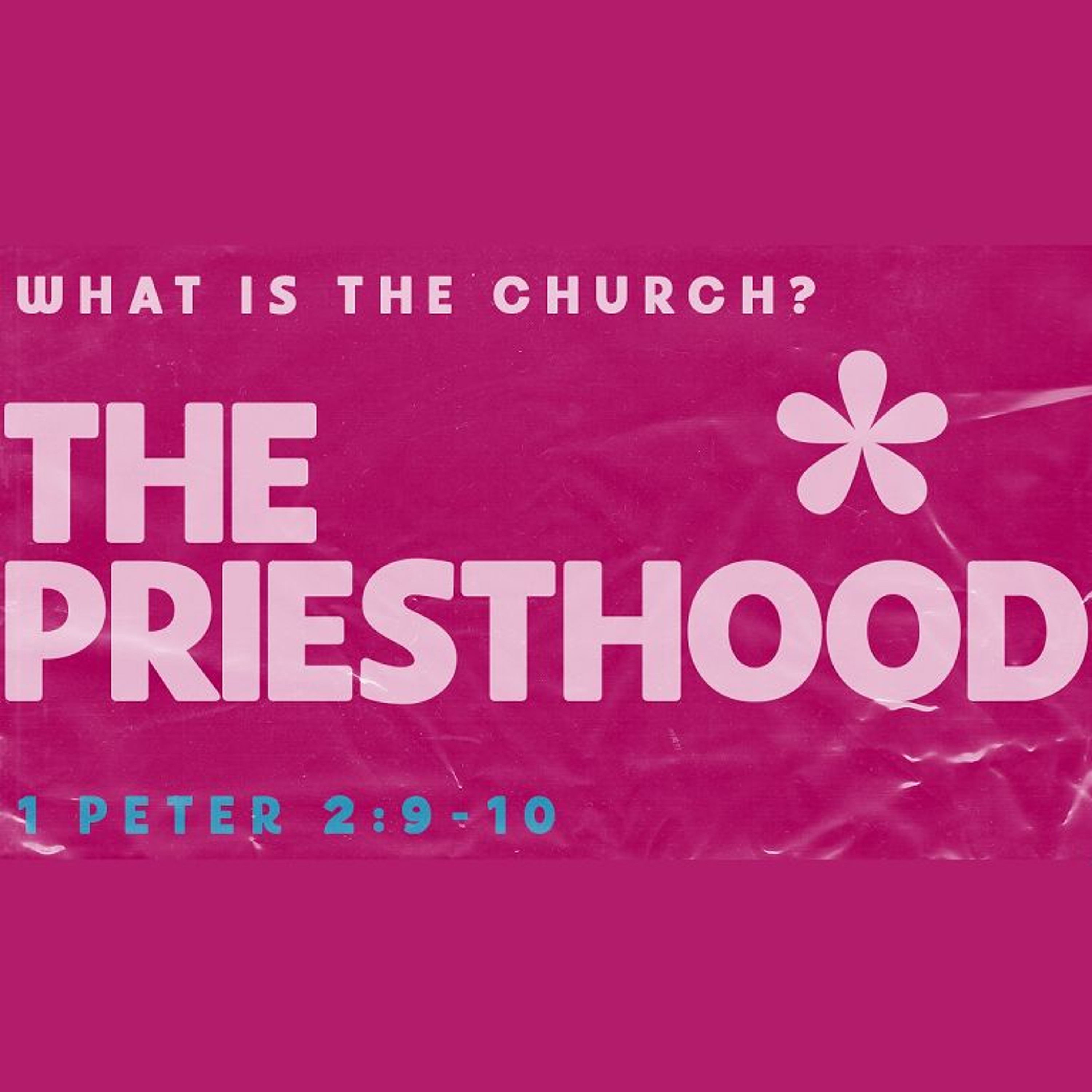 PRIESTHOOD, 1 Peter 2:9-10 (Sermon) episode artwork