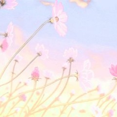 vacation - florist (cover)