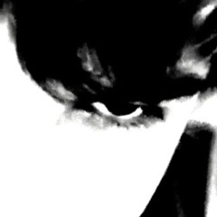Ostrosvit's Playlist