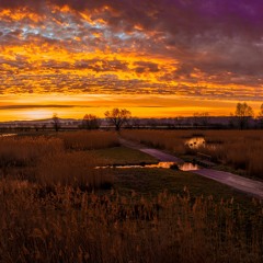 Sabrina Carpenter - Taste (Averx Remix) (Extended Version)