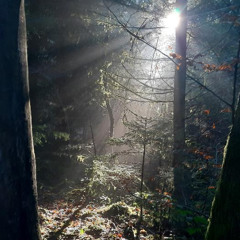 Therapy Sessions: #2 - Release The Pressure