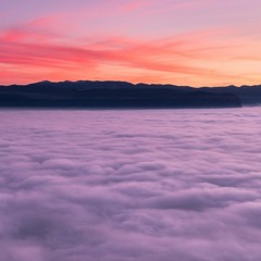 Homage - Mild High Club || cover by Ruhdabeh