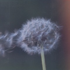 Breeze