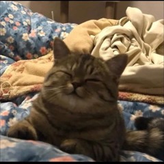 dum happy songs to go