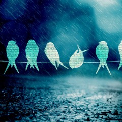 29 - Larghetto In F - Sharp Minor