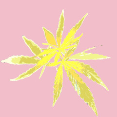 O Oh it's so green, let's smoke a joint (Minimal Relax Dub Tech Mix)