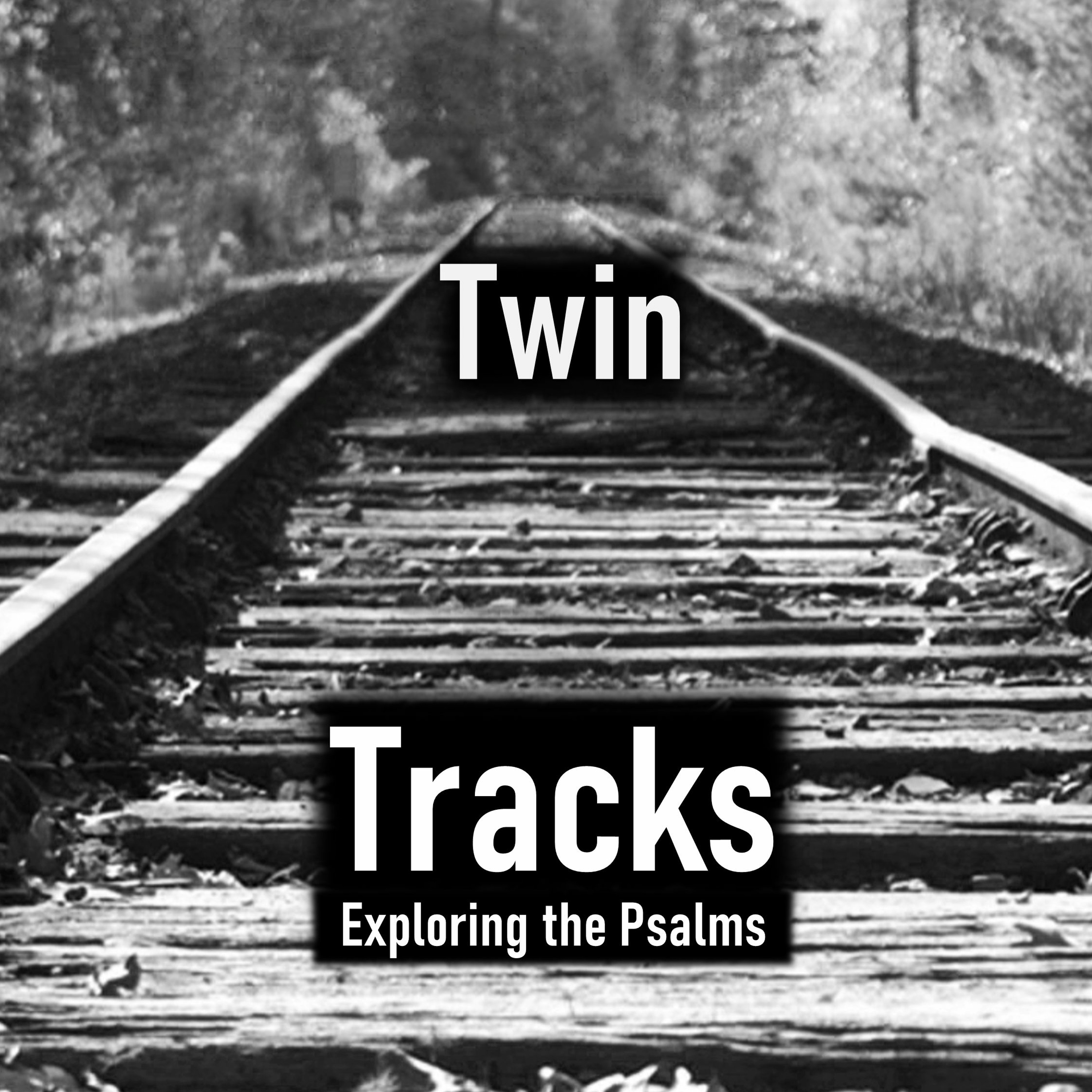 Twin Tracks - Introduction to Psalms
