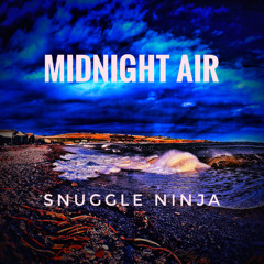 Midnight Air (Demo)