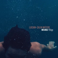 Lucian feat. Beth Duck - Calm Waters (Mr. Wolf Flip)