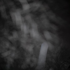 Night Dance