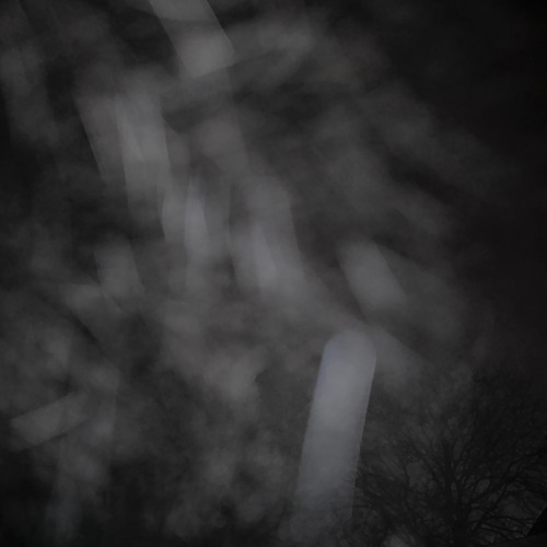 Night Dance