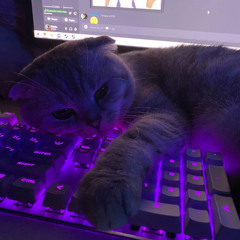 NoTeQuieroPensar_JerseyClubRemix(SlowDown + Reverb)