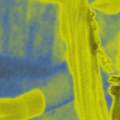 Lectric Jit (Tobi XY Edit) [free download]