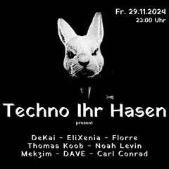 Techno Ihr Hasen // 29.11.24 04-06Uhr