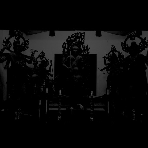 Progenitor Void