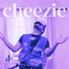 Dijon - The Dress (cheezie flip)