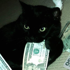 Budget