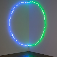 Springvossen 482 Jan van Munster