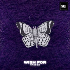 Sandor - Wish For (Original Mix)