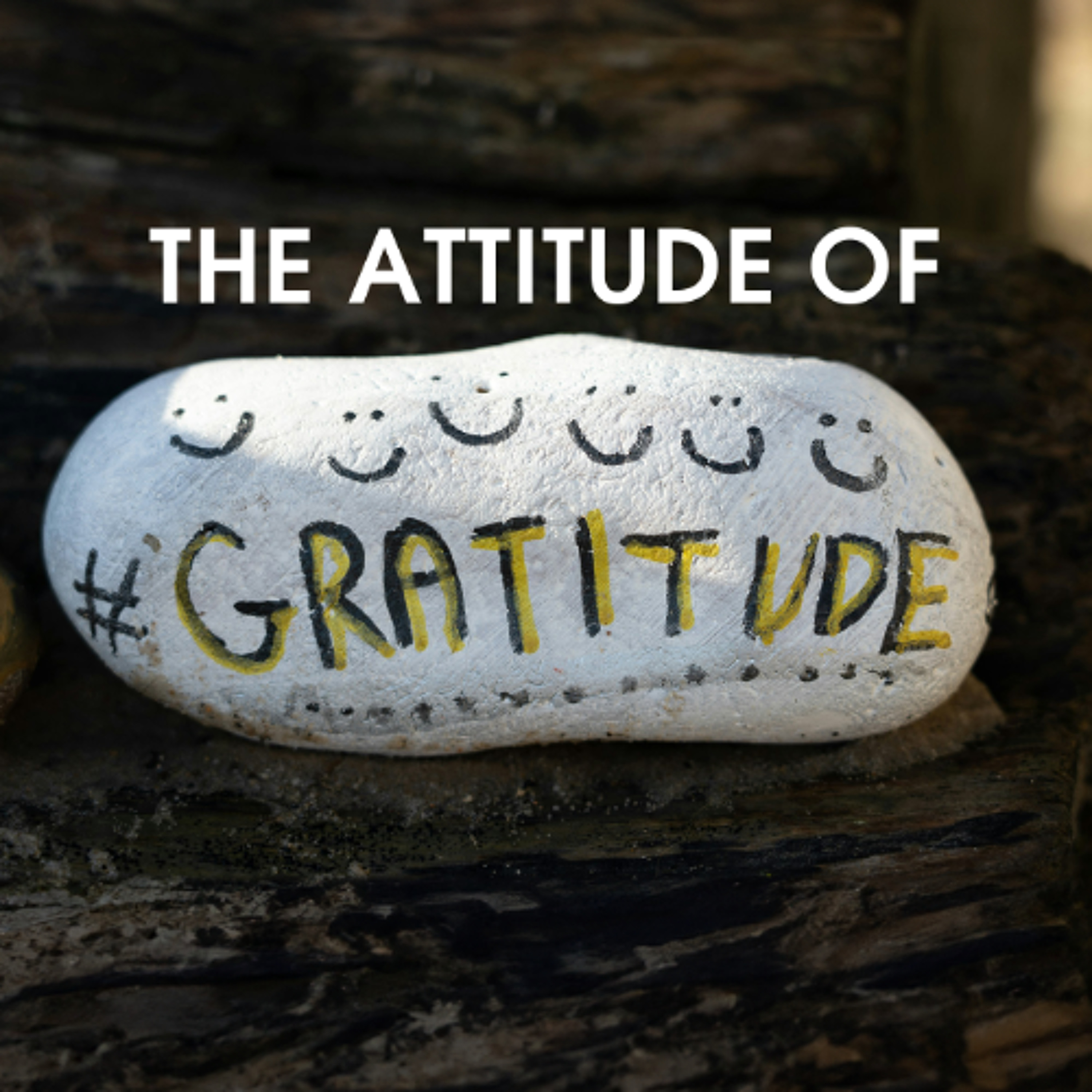 The Attitude of Gratitude episode artwork