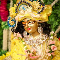 Madan Gopal Prabhu · {Gay Gora Madhura Sware} · Kheturi Kirtan Festival At Bhakta Bandhav · 9.11.22