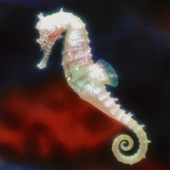 italodisco mix - ninpha arg