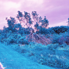 KYS [ft. Zer0xthrash] (prod. Antyde)