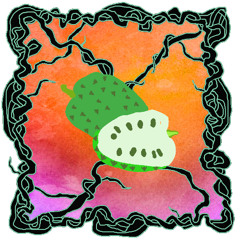 FRUITCAST #91 | Nadara & Baerg | the melody of a graviola