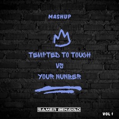 Your Number vs Temted to Touch - MashUp