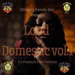 Slingerz Family Loud Domestic Vol.1 (R&B Mixtape) Dj Protocol & Selector Tallboss