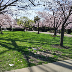 Session 0002 (State Capitol State Park)