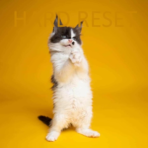 Dua Lipa Vs. The Knocks & MAT ZO (Illusion 2 Get Down)- HCD Remix